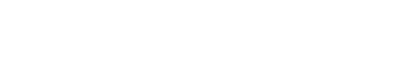 SPID - AgID Agenzia per l'Italia Digitale - Check